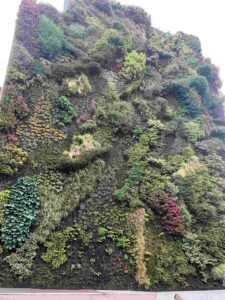 Madrid Wall Garden Outside Caixa Forum Museum