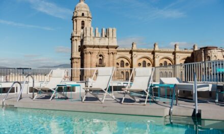 Hotel Molina Lario in Malaga Review
