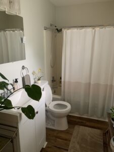 My Ashville Airbnb Experience Bathroom