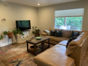 My Ashville Airbnb Experience Living Room