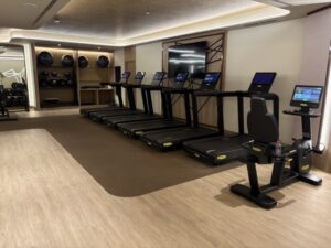Fitness Center at Madrid Marriott Hotel Princesa Plaza