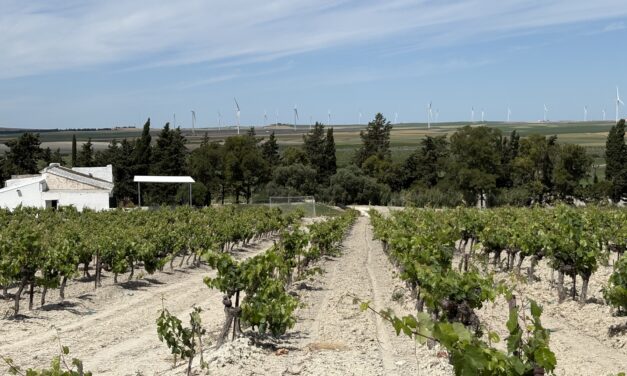 The Sherry Wines of Jerez, Spain
