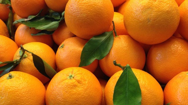 Valencia Spain Oranges