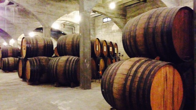 This winery is in the Murcia region of Spain. (c) Rob Hard BSI Bodegas San Isidro Barrels