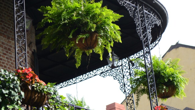 Photo courtesy of Jeff Anding French Quarter Balcony in New Orleans