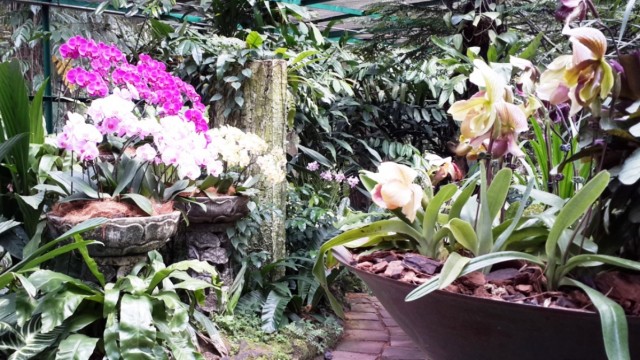 Singapore Garden