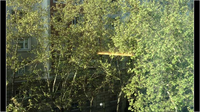 Comfortable and peaceful way to wake up. (c) Rob Hard Treeline View from NH Abascal Madrid Junior Suite