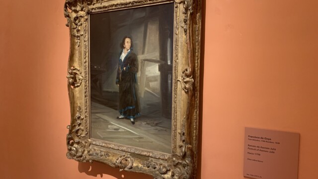 Thyssen Museum in Madrid - Francisco de Goya - Portrait of Asensia Julia (1798)