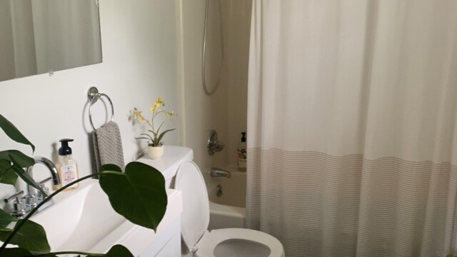 My Ashville Airbnb Experience Bathroom