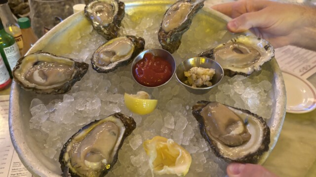 Platter of Fresh Oysters at Superior Seafood and Oyster Bar in New Orleans. © Rob Hard 2025 Platter of Fresh Oysters at Superior Seafood and Oyster Bar in New Orleans