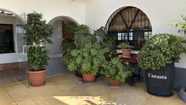 Courtyard Entrance at Venta El Albero in Jerez Spain