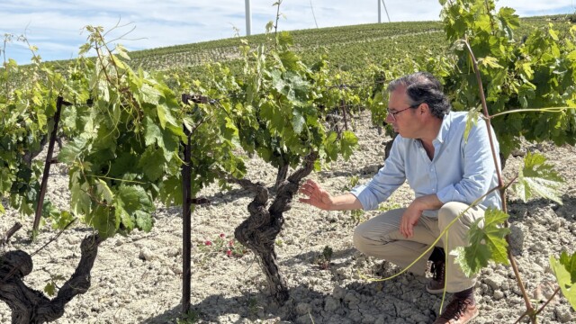 Mauricio Lorente, M.D., Owner of Lorente & Barba, in Vineyard