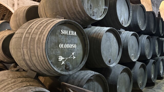 Oloroso Salera at Bodegas Leon Domcq in Jerez, Spain