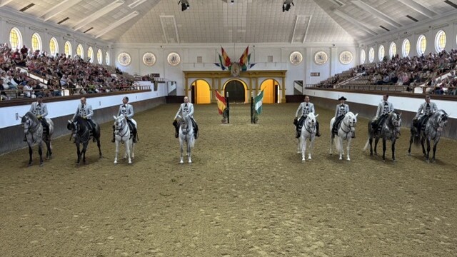 Performance at Royal School of Equestrian Art in Jerez Spain